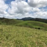 Fazenda Igaratá — Oportunidade de Investimento