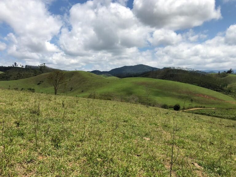 Fazenda Igaratá — Oportunidade de Investimento