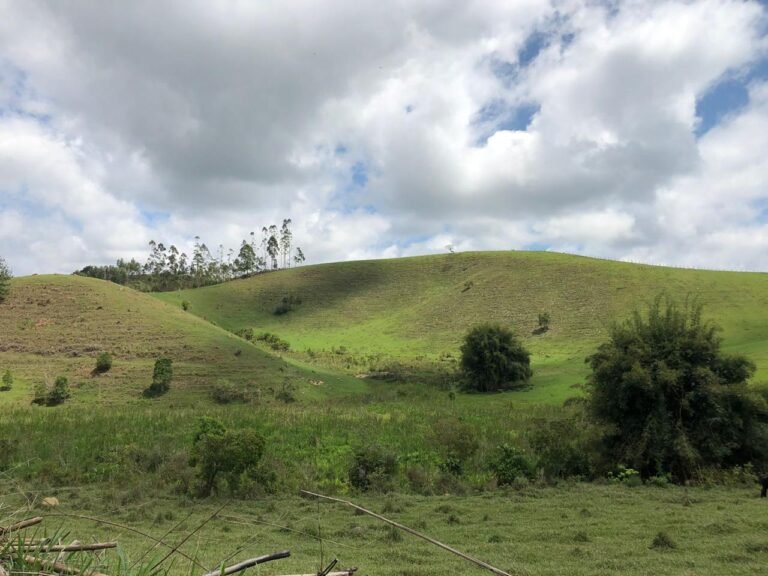Fazenda Igaratá — Oportunidade de Investimento