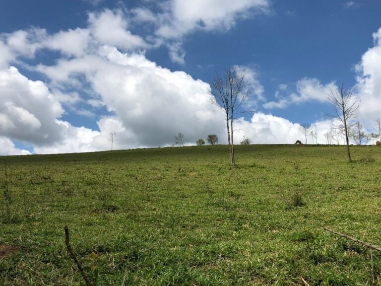 Fazenda Igaratá — Oportunidade de Investimento