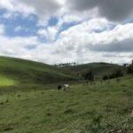 Fazenda Igaratá — Oportunidade de Investimento