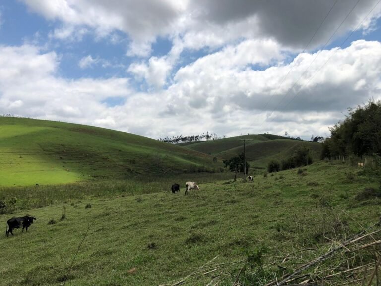 Fazenda Igaratá — Oportunidade de Investimento
