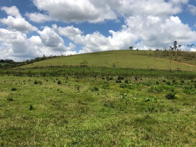 Fazenda Igaratá — Oportunidade de Investimento