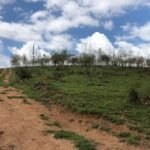 Fazenda Igaratá — Oportunidade de Investimento