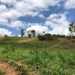 Fazenda Igaratá — Oportunidade de Investimento
