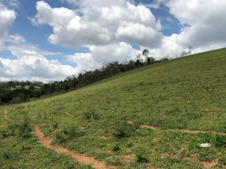 Fazenda Igaratá — Oportunidade de Investimento