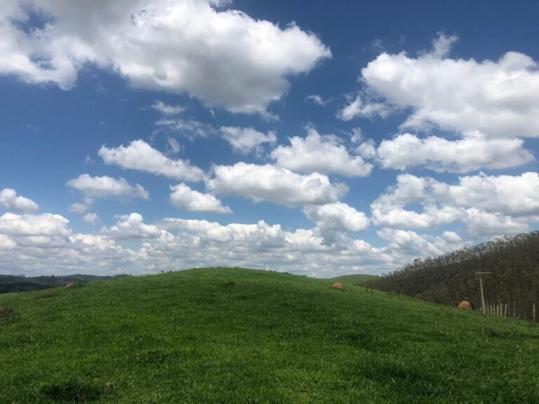 Fazenda Igaratá — Oportunidade de Investimento