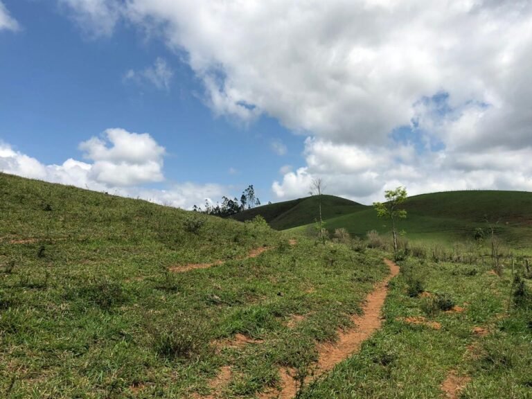 Fazenda Igaratá — Oportunidade de Investimento