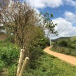 Fazenda Igaratá — Oportunidade de Investimento