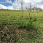 Fazenda Igaratá — Oportunidade de Investimento