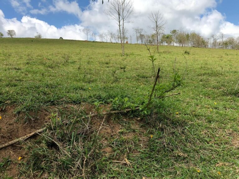 Fazenda Igaratá — Oportunidade de Investimento
