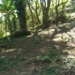 TERRENO EM SANTA ISABEL