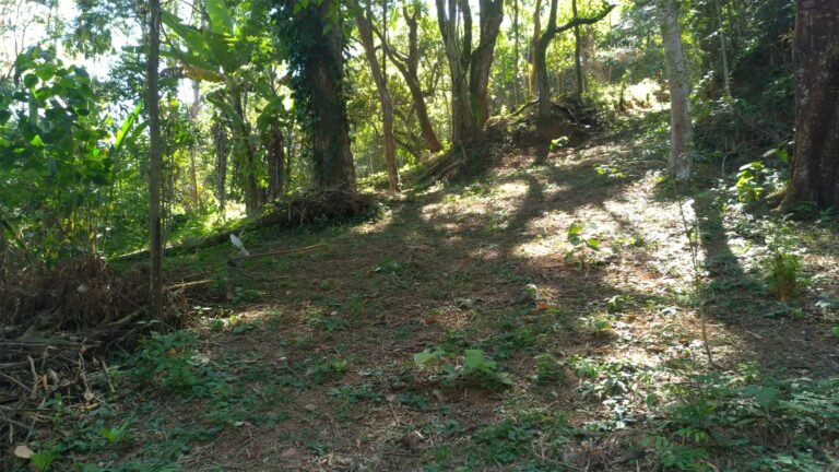 TERRENO EM SANTA ISABEL
