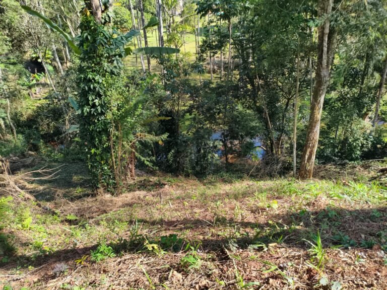 TERRENO EM SANTA ISABEL